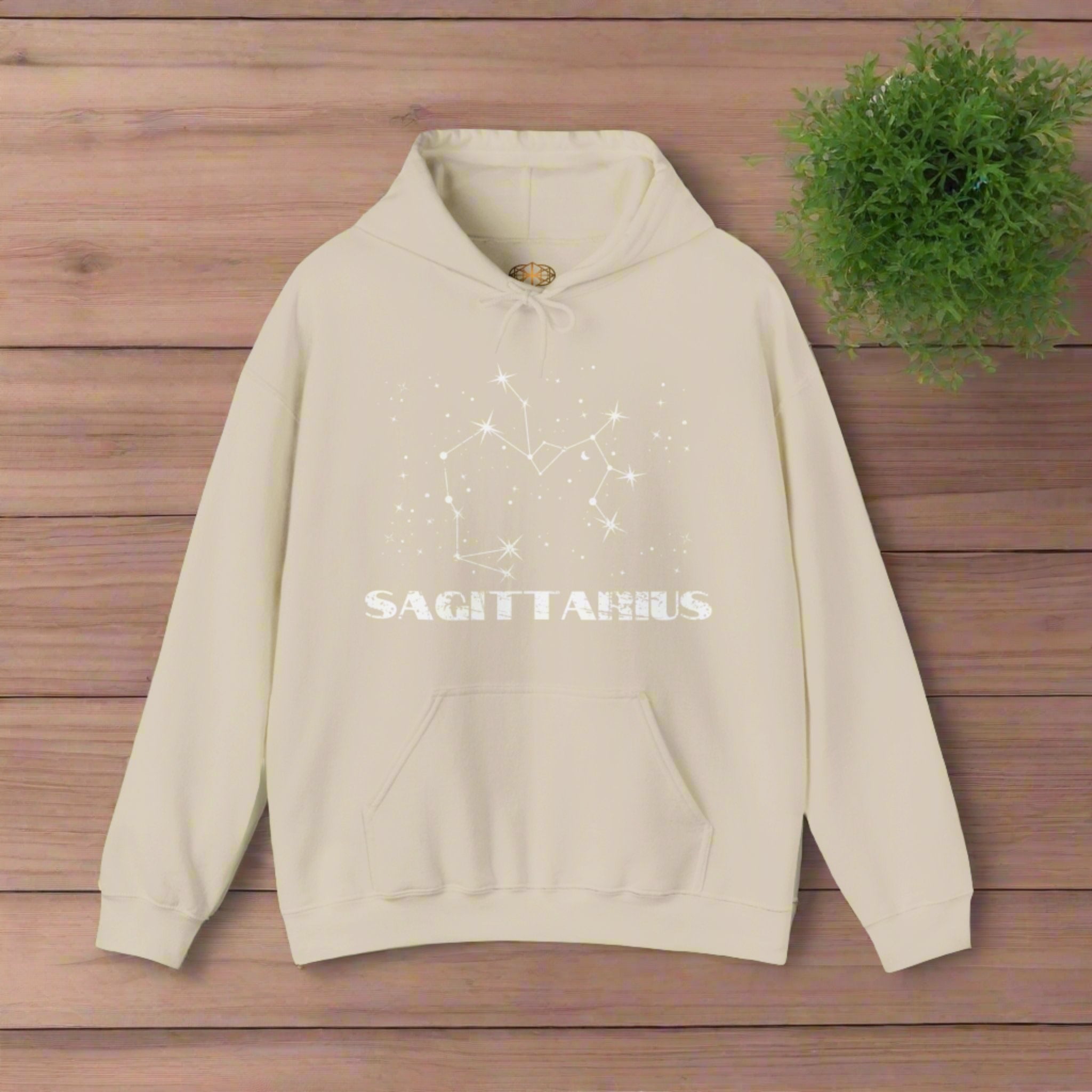 Astrology: Sagittarius Hoodie | Coded to Increase Intuition