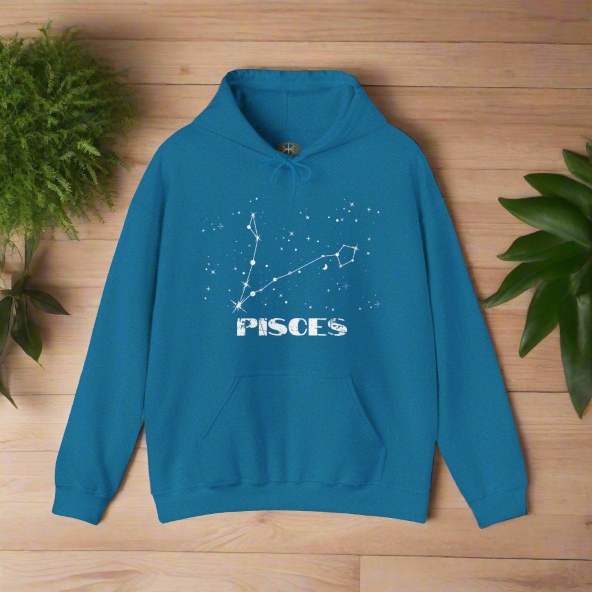 Astrology: Pisces Hoodie | Coded to Increase Intuition