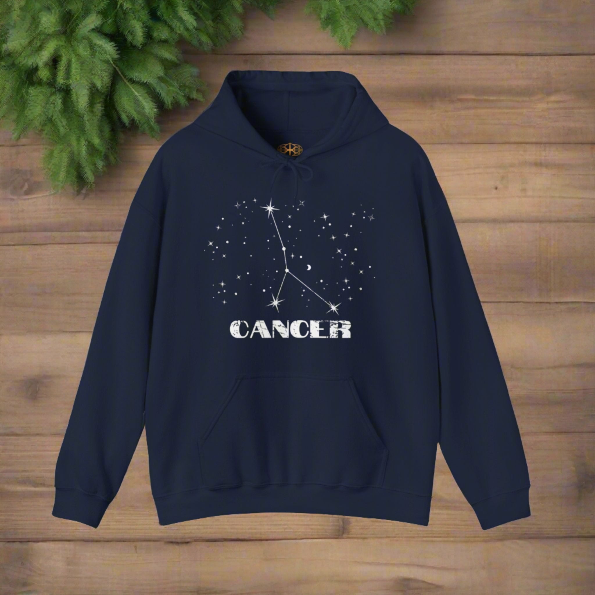 Astrology: Cancer Hoodie | Coded to Increase Intuition