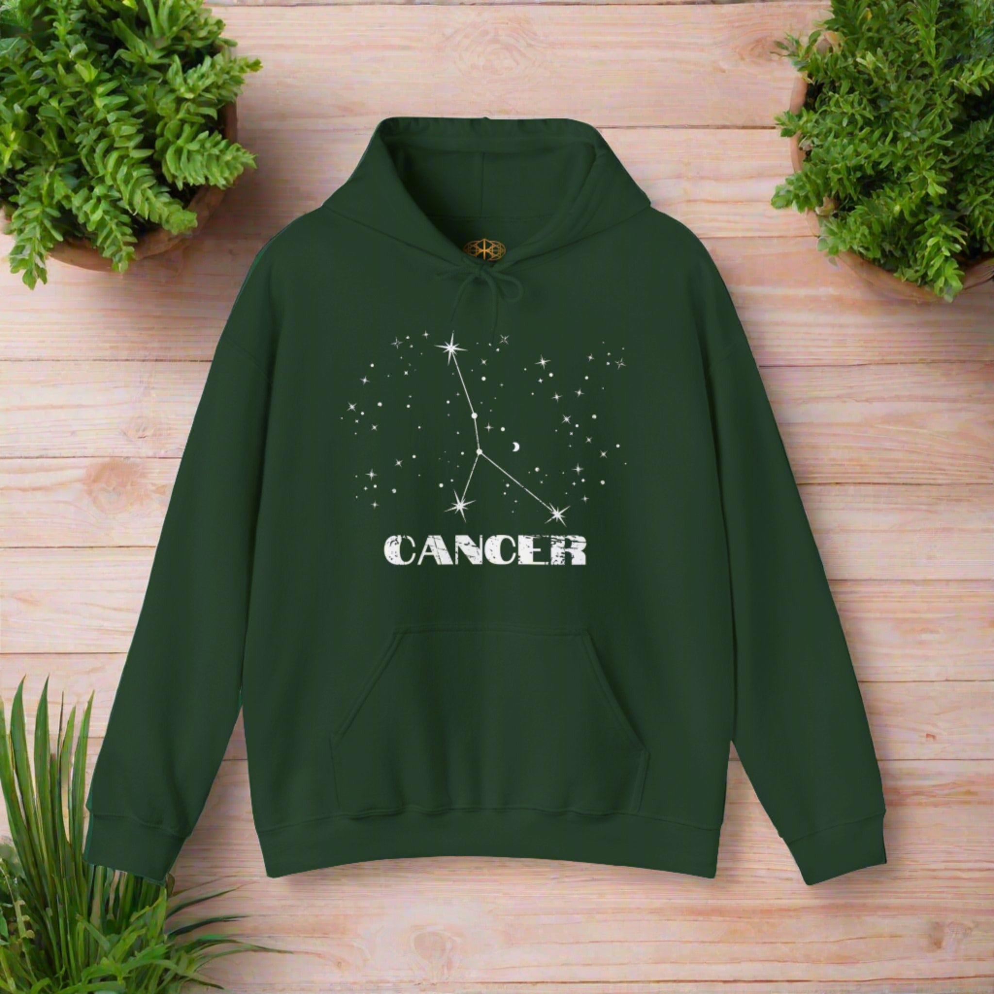 Astrology: Cancer Hoodie | Coded to Increase Intuition