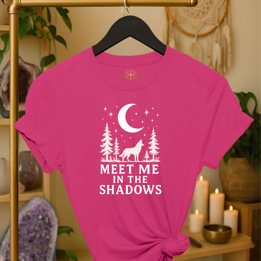 Meet Me in the Shadows