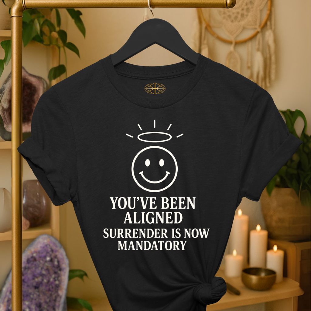 You’ve been aligned. Surrender is now mandatory. | Coded for Manifestations