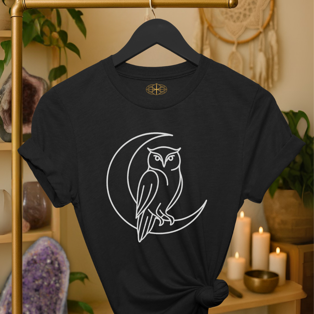 Owl Line Art | Coded to Increase Intuition