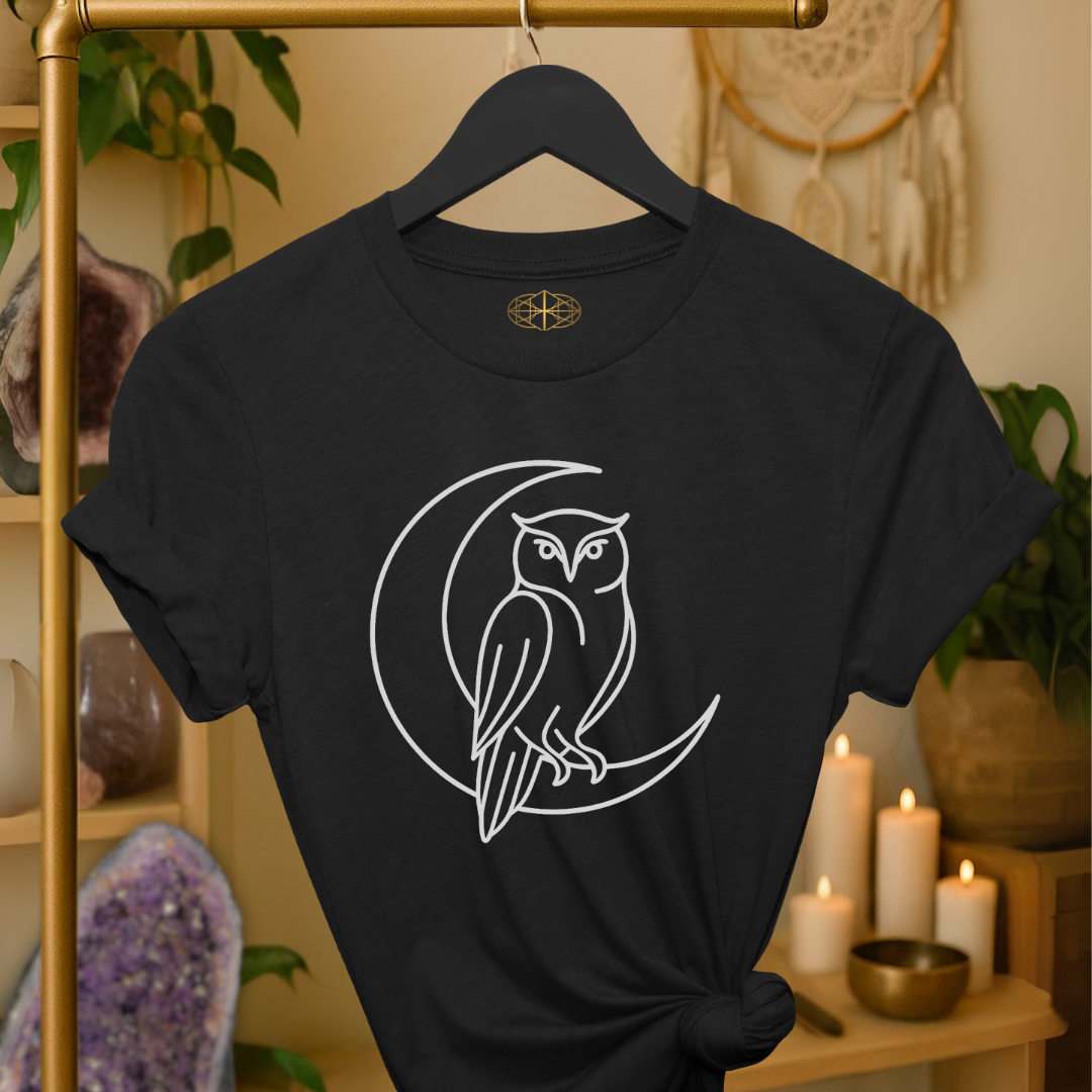 Owl Line Art | Coded to Increase Intuition