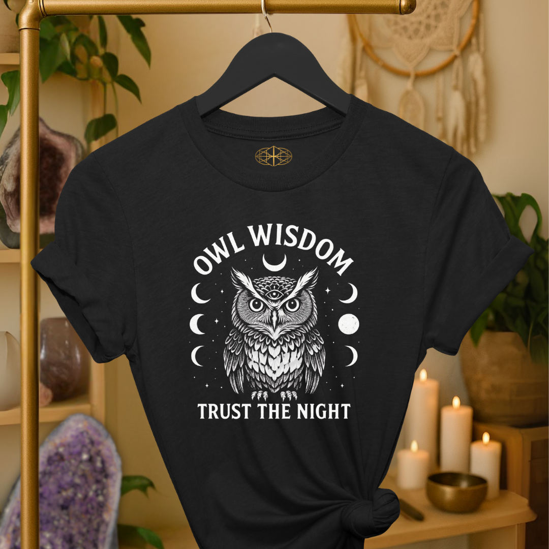 Owl Wisdom Trust the Night | Coded to Increase Intuition