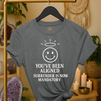 You’ve been aligned. Surrender is now mandatory. | Coded for Manifestations