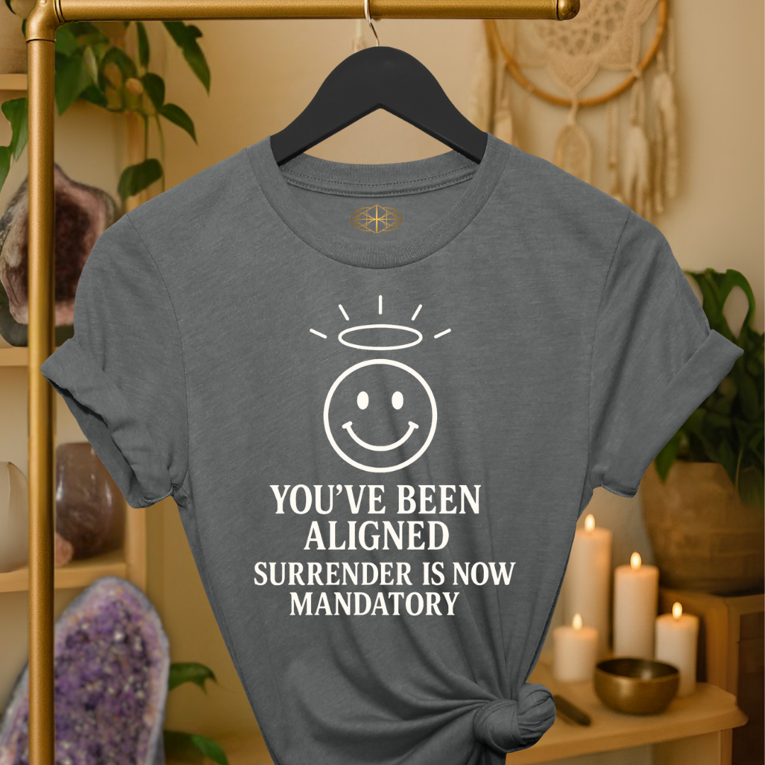 You’ve been aligned. Surrender is now mandatory. | Coded for Manifestations
