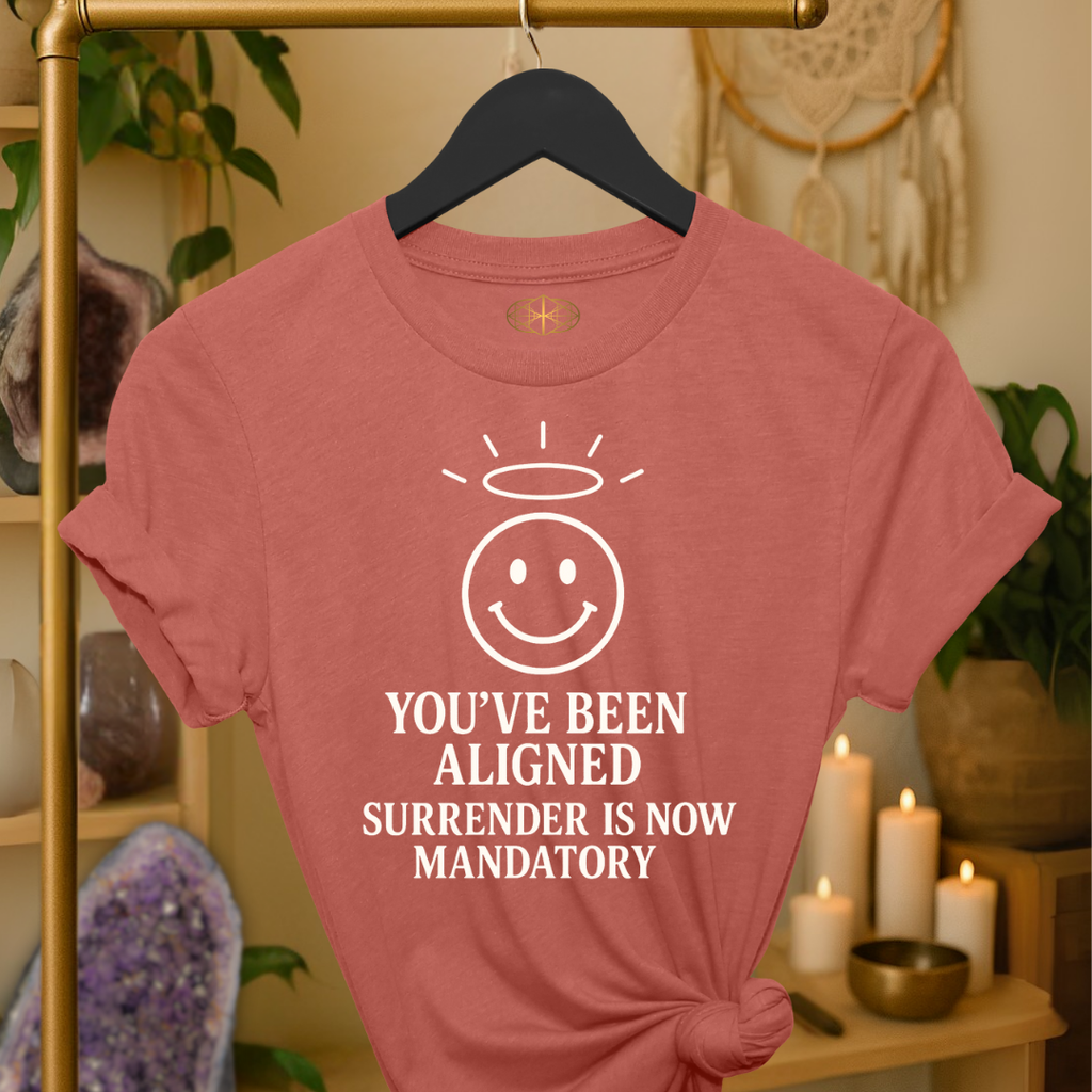 You’ve been aligned. Surrender is now mandatory. | Coded for Manifestations