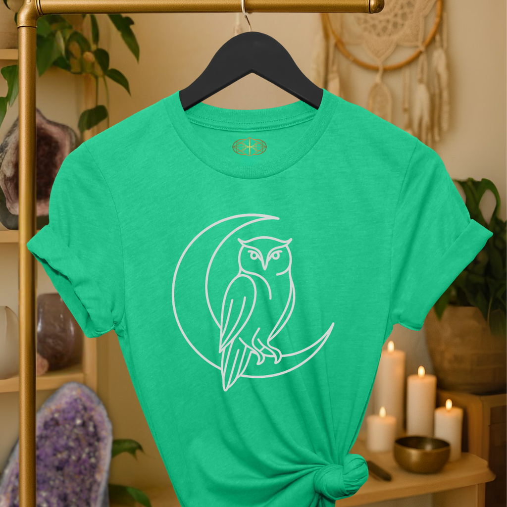 Owl Line Art | Coded to Increase Intuition