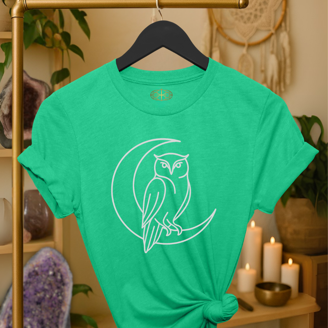 Owl Line Art | Coded to Increase Intuition
