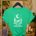 Meet Me in the Shadows