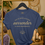 You’ve been aligned. Surrender is now mandatory. | Coded for Manifestations