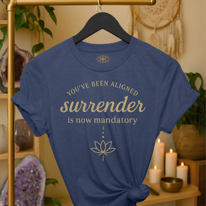 You’ve been aligned. Surrender is now mandatory.