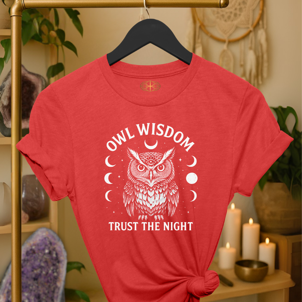 Owl Wisdom Trust the Night | Coded to Increase Intuition