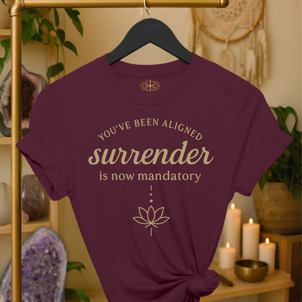 You’ve been aligned. Surrender is now mandatory. | Coded for Manifestations