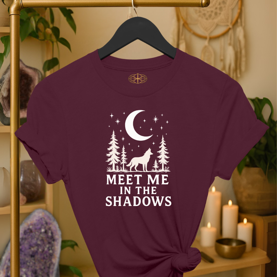 Meet Me in the Shadows
