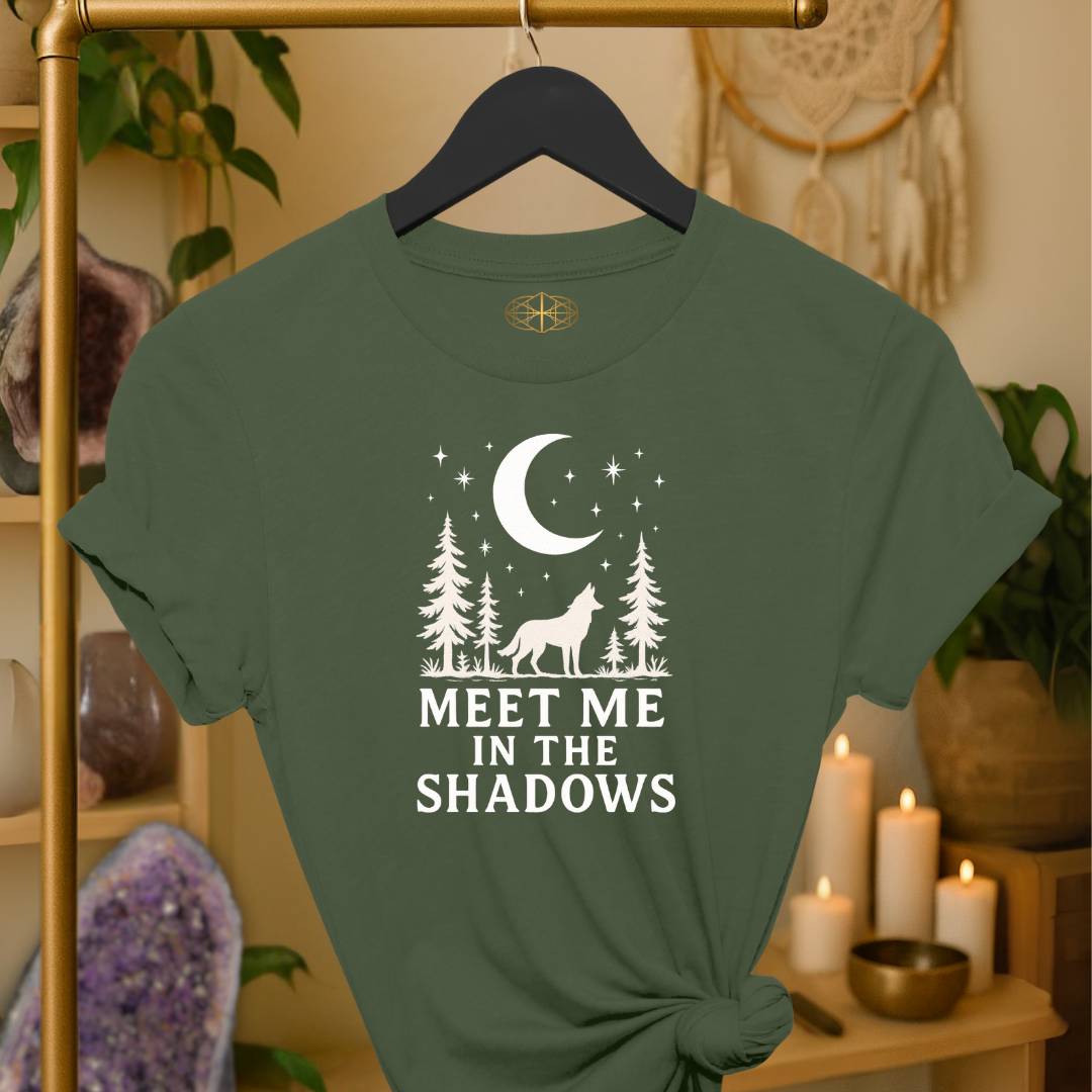 Meet Me in the Shadows