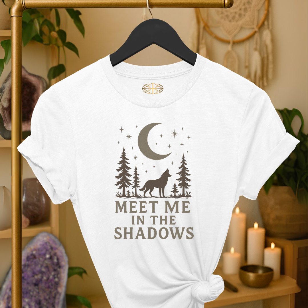 Meet Me in the Shadows