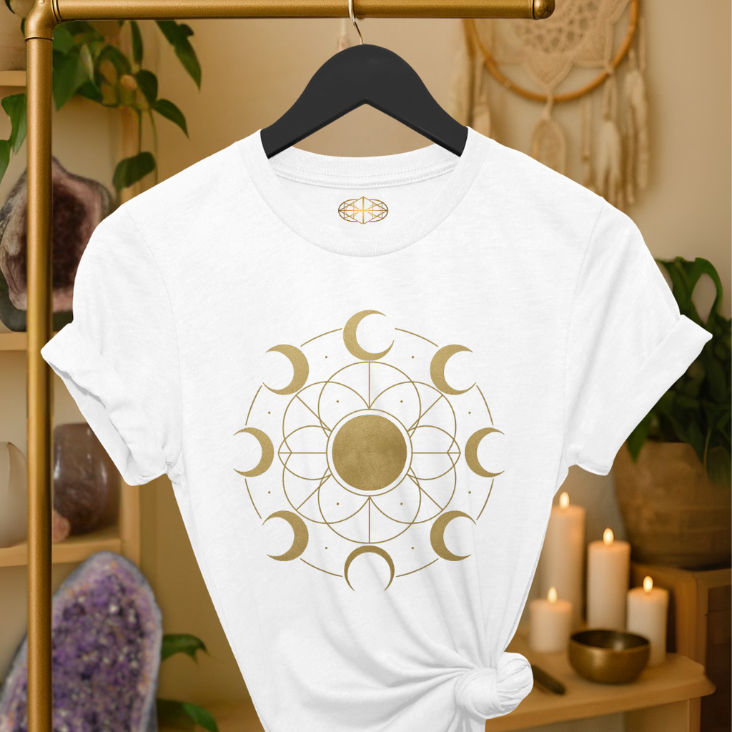 Geometric Moons | Coded to Increase Intuition